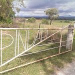 A jaunt northward: through the Hunter Valley