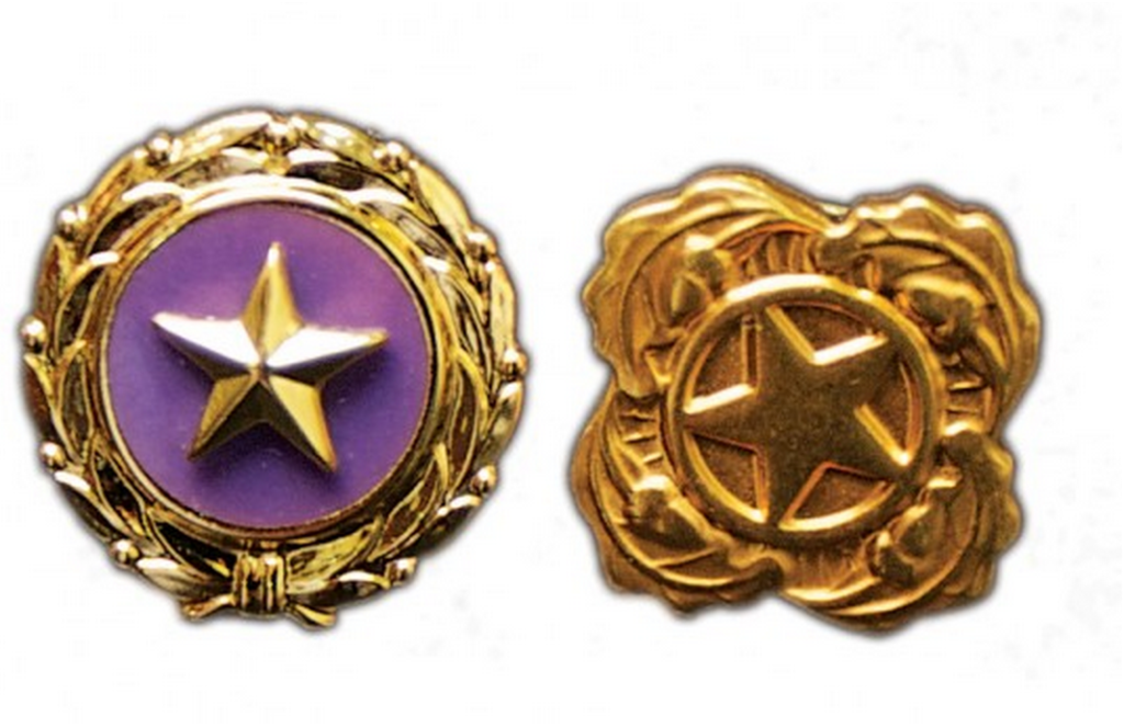 Memorial Day gold star military family 